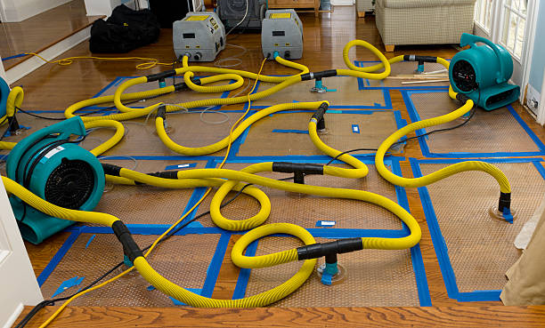Professional Burst Pipe Water Damage technician working in Dow, IL